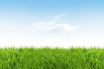 Fototapeta na wymiar Fresh Green Grass Lawn. Isolated on White Background for Landscaping, Nature or Summer Concepts: