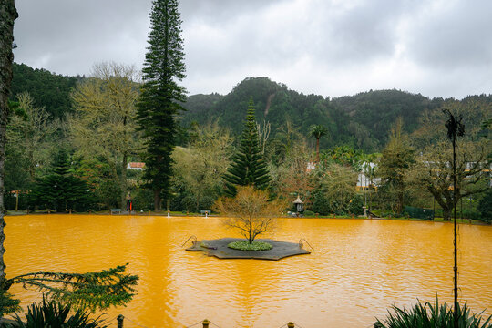 FURNAS, SAO MIGUEL, AZORES - 12.2.2024: People swimming in the hot thermal waters in Parque Terra Nostra
