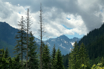 mountain forest landscape of High Tatras (Vysoke Tatry) with cloudy sky, picturesque scenery 