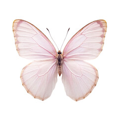 Watercolor of a pink butterfly, isolated on Transparent background.
