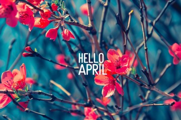 a tree covered in pink flowers with the words HELLO APRIL Generative AI - obrazy, fototapety, plakaty