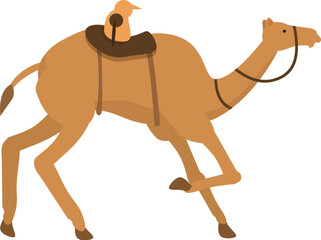 Camel racing icon cartoon vector. Arab animal desert. Run dubai rider track