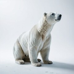 white polar bear on white
