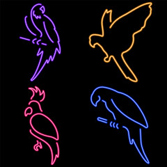 parrot group of neon icons, vector illustration on black background.