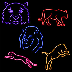 predators group of neon icons, vector illustration on black background.