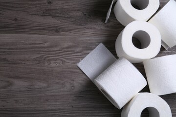 Soft toilet paper rolls on wooden table, flat lay. Space for text