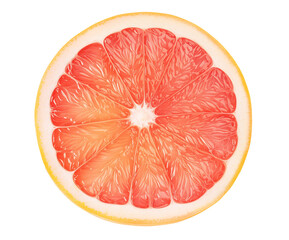 One slice of pink grapefruit cut out
