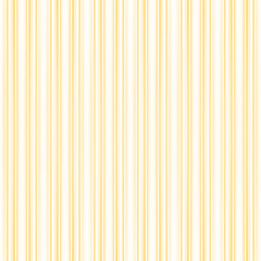 Obraz premium Colorful stripe abstract background. Motion effect. Color lines. Colored fiber texture backdrop and banner. Multi color gradient pattern and textured wallpaper.
