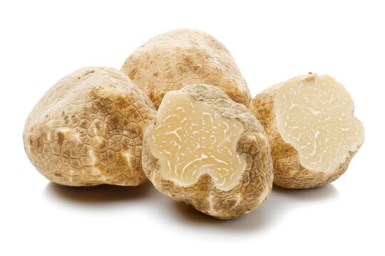 White truffle tuber magnatum shown in close up isolated