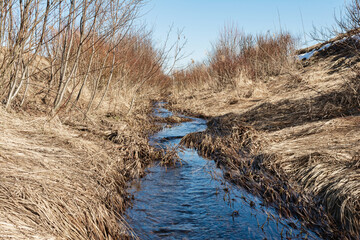 A flowing stream of blue water between hilly banks with yellow dry grass. A stream of melt water. Spring landscape on a sunny day
