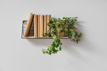 Shelf with books and plant on light wall