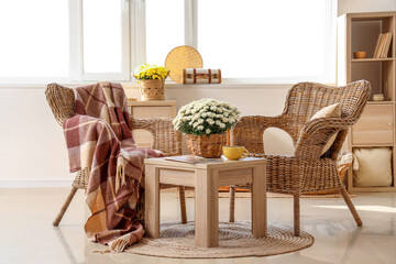 Interior of living room with wicker armchairs and chrysanthemum flowers on coffee table