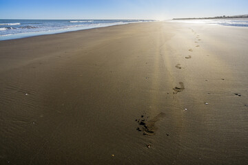 Footprints in the sand of a lonely beach, rays of sun on the horizon projecting on it