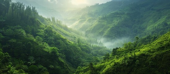 Majestic mountain landscape with lush green forest covering the slopes
