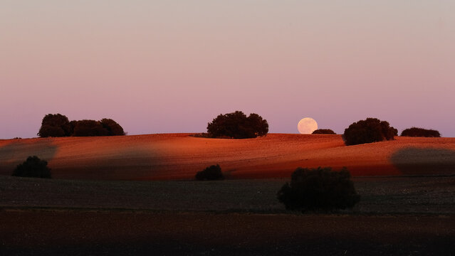 Full moon serenity over a tranquil hillside at dusk