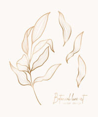 Botanical elegant golden line illustration of a leaves branch for wedding invitation and cards, logo design, web, social media and poster, template, advertisement, beauty and cosmetic industry.