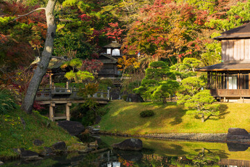 日本の風景・秋　神奈川県横浜市　紅葉の三溪園