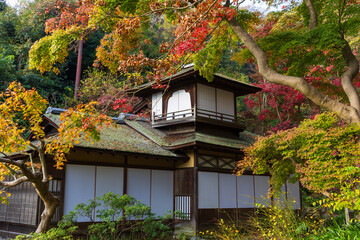 日本の風景・秋　神奈川県横浜市　紅葉の三溪園