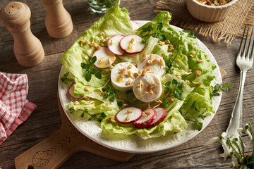 Vegetable salad with fenugreek sprouts, goat cheese and chickweed - wild edible plant