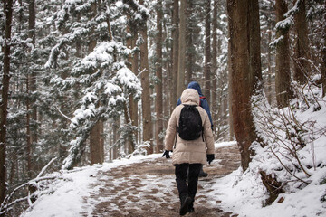 Naklejka premium Walk in the cold