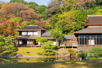 日本の風景・秋　神奈川県横浜市　紅葉の三溪園