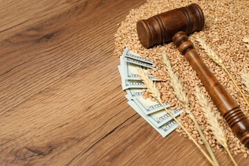 Obraz na płótnie Canvas Dollar banknotes, judge's gavel, wheat ears and grains on wooden table, space for text. Agricultural business