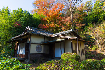 日本の風景・秋　神奈川県横浜市　紅葉の三溪園