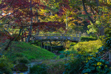 日本の風景・秋　神奈川県横浜市　紅葉の三溪園