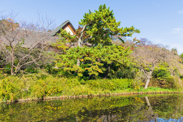日本の風景・秋　神奈川県横浜市　紅葉の三溪園