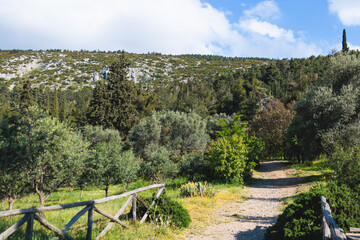 Hymettus mountain landscape, hiking in Athens, Hymettos mountain range panoramic beautiful view,...