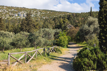 Fototapeta na wymiar Hymettus mountain landscape, hiking in Athens, Hymettos mountain range panoramic beautiful view, Attica, Greece, in a summer sunny day, with Kaisariani aesthetic forest
