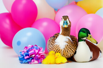 Duck Birthday Party!