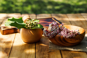 The medicinal plant Asclepias, milkweeds, coma, butterfly flower in a mortar with pestle is ready to be crushed and dried on a wooden table in summer during flowering. - obrazy, fototapety, plakaty