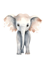 create a hand drawn watercolor clipart of a baby elephant, white background, 4k