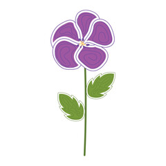 Colored sketch of a flower icon Vector illustration