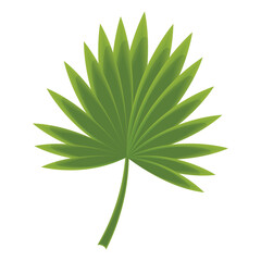 Fototapeta na wymiar Sketch of a tree leaf icon Vector illustration