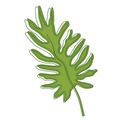 Sketch of a tree leaf icon Vector illustration