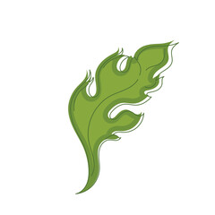 Sketch of a tree leaf icon Vector illustration