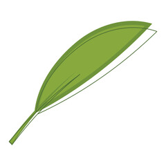 Sketch of a tree leaf icon Vector illustration