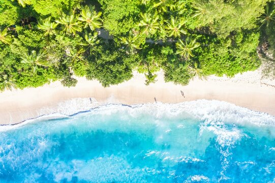 Fototapeta Beach nature paradise drone shot bird's eye view on Mahe island, Seychelles, Africa