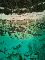 Aerial view of coral and beach. Top view. Dominican Republic. Punta Cana