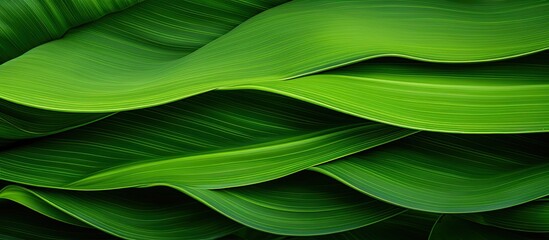 This close-up view showcases the intricate details and vibrant shade of a green leaf, highlighting its veins and texture. The leaf appears healthy and lush, making it a perfect subject for nature
