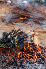 Piles of calcot, sweet onions typical Catalonia, Spain barbecue on the grill