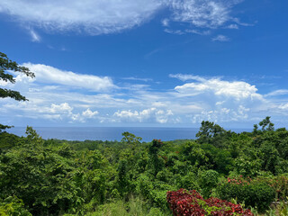 landscape of forest, ocean, and sky