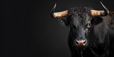 Fototapeten Portrait of black bull on black background © shobakhul