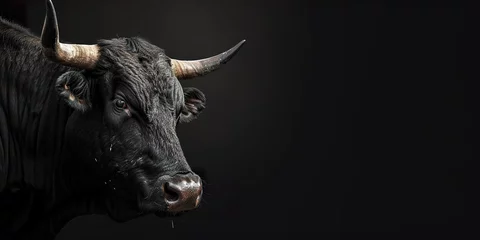Möbelaufkleber Portrait of black bull on black background © shobakhul