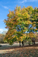 Autumn view of South Park in city of Sofia, Bulgaria