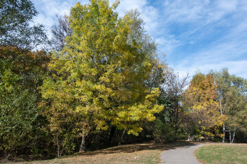 Naklejka premium Autumn view of South Park in city of Sofia, Bulgaria