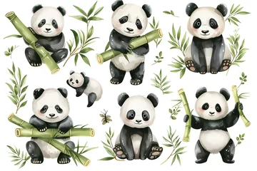 Foto op Plexiglas A delightful nursery composition of a baby panda © avacrane