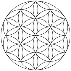 Flower of Life Illustration, Mandala Pattern, Sacred Geometry Clipart